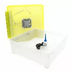 Offres 🔔 Incubateur pour les œufs de reptile jusqu'à 48 pièces Couveuse Élevage 🎉