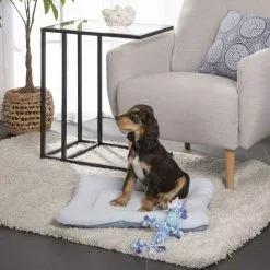 Budget 👏 Paris prix Coussin pour Chien & Chat "Puppy" 58cm Bleu Clair 🛒 -Bon plan Animalerie 3526781201216 6