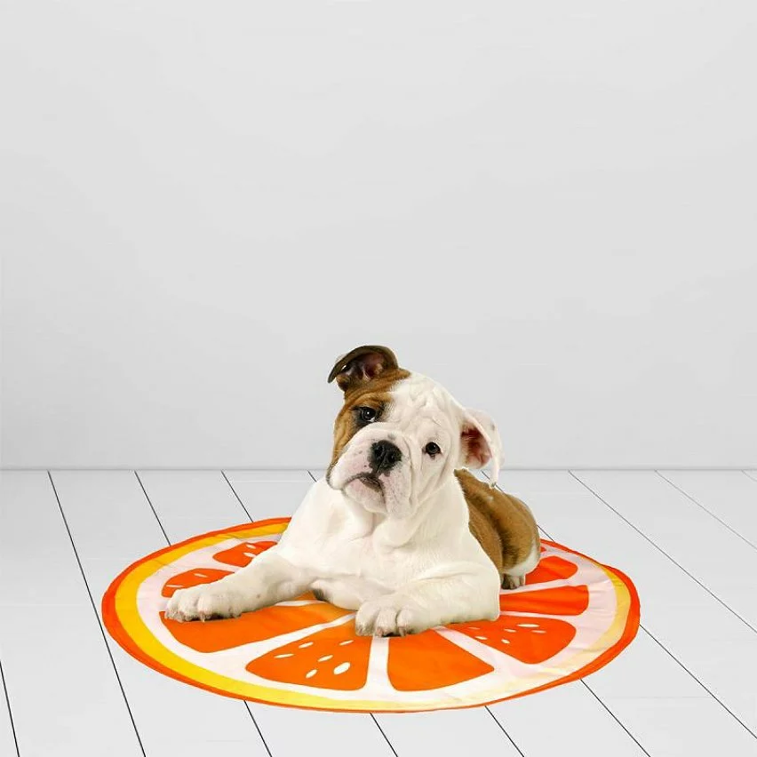 De gros 🌟 Paris prix Matelas Rafraîchissant pour Animaux "Fruit" 60cm Orange 😍 4 De gros 🌟 Paris prix Matelas Rafraîchissant pour Animaux "Fruit" 60cm Orange 😍 – Image 2