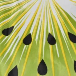 Tout neuf ❤️ Paris prix Matelas Rafraîchissant pour Animaux "Fruit" 60cm Vert 🤩 -Bon plan Animalerie 3574380607250 3