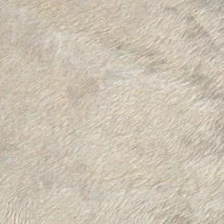 Bon plan Animalerie -Bon plan Animalerie 3574380623694 2