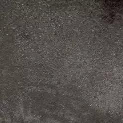 Nouveau 🌟 Paris prix Plaid Polaire pour Chien "Patchy" 100cm Noisette 🔔 -Bon plan Animalerie 3574380623854 4