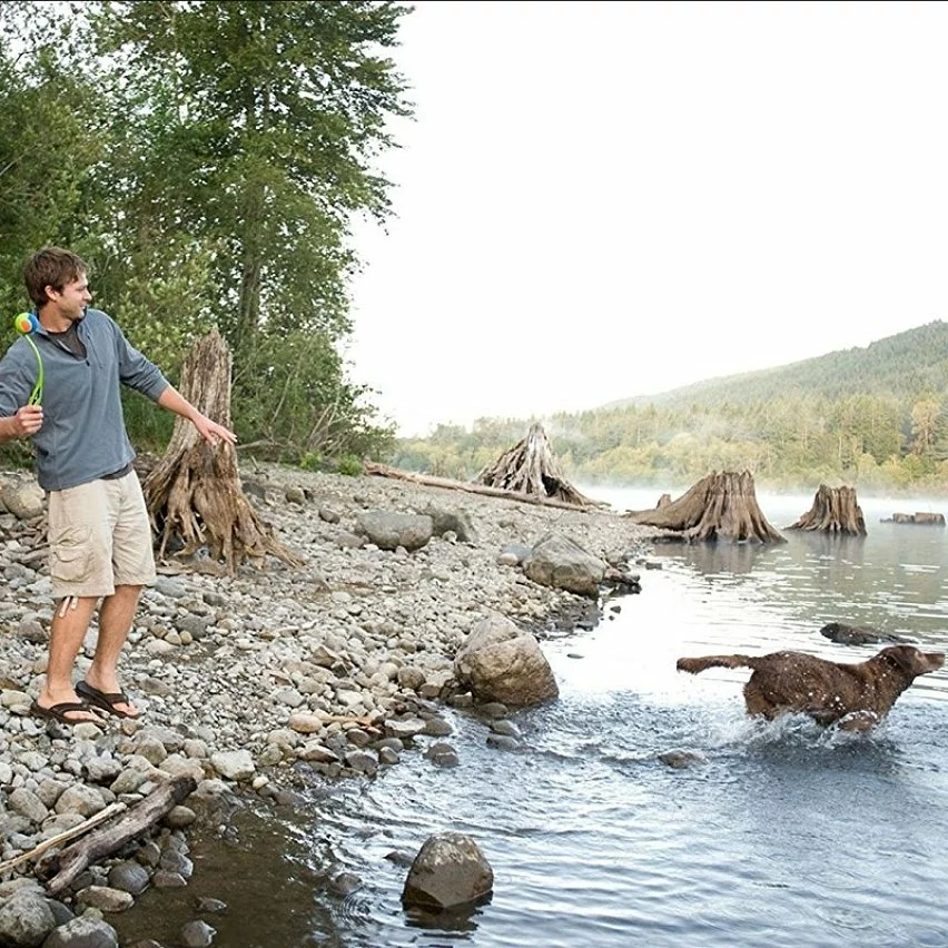 Acheter 🧨 Wewoo Jouet pour Animaux des chiens / chats, livraison aléatoire de couleur d'entraînement de ramassage d'animal familier lancant des jouets avec la boule 💯 8 Acheter 🧨 Wewoo Jouet pour Animaux des chiens / chats, livraison aléatoire de couleur d'entraînement de ramassage d'animal familier lancant des jouets avec la boule 💯 – Image 6