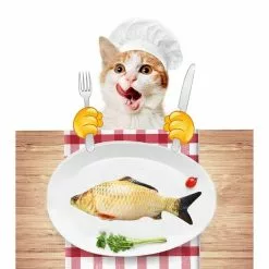 Offres 🌟 Wewoo Jouet pour Animaux Simulation Poisson Drôle Chat Stuff Gratter Post Board Jouet, Petite Taille: 21.5 x 8.0 x 5.0cm 🛒 -Bon plan Animalerie 3615610601294 6