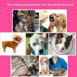 Tout neuf 👏 Wewoo Pour chien Animal de compagnie vert Collier Couvre-chef Entonnoir Taille: XL 30-39 cm Collerette plastique anti mordillement ⌛ -Bon plan Animalerie 3615610875442 6 4