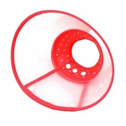 Budget 🌟 Wewoo Pour chien Animal de compagnie rouge Collier Couvre-chef Entonnoir Taille: XL 30-39 cm Collerette plastique anti mordillement 🔥 11 Budget 🌟 Wewoo Pour chien Animal de compagnie rouge Collier Couvre-chef Entonnoir Taille: XL 30-39 cm Collerette plastique anti mordillement 🔥 -Bon plan Animalerie 3615610875589 3