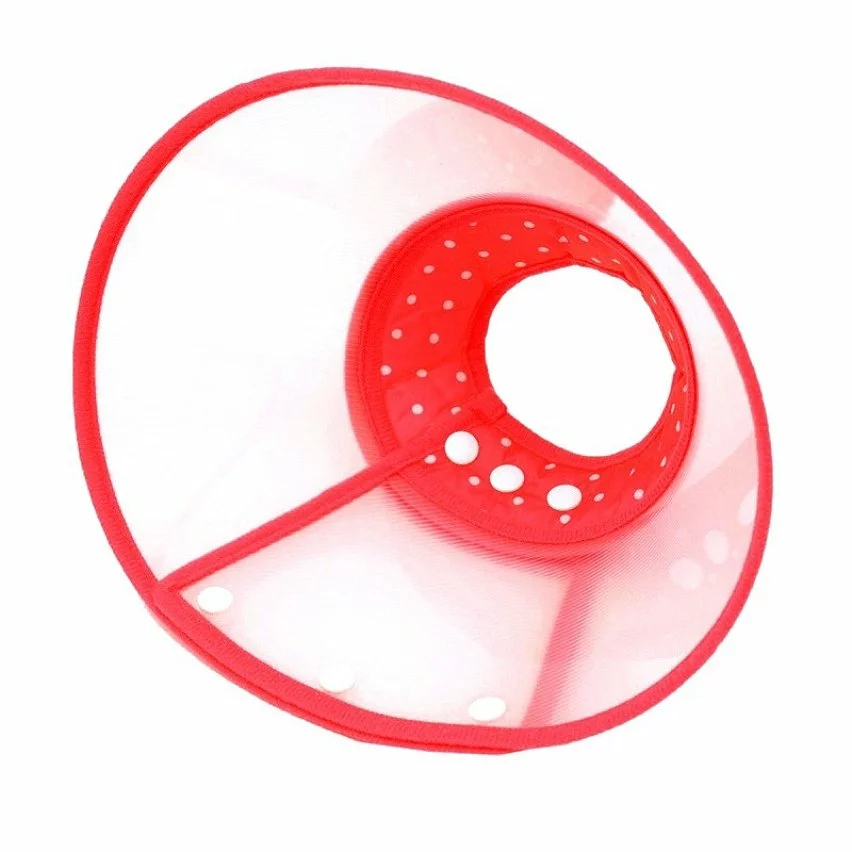 Budget 🌟 Wewoo Pour chien Animal de compagnie rouge Collier Couvre-chef Entonnoir Taille: XL 30-39 cm Collerette plastique anti mordillement 🔥 5 Budget 🌟 Wewoo Pour chien Animal de compagnie rouge Collier Couvre-chef Entonnoir Taille: XL 30-39 cm Collerette plastique anti mordillement 🔥 – Image 3