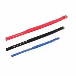 De gros 🔔 Wewoo Collier Chien & Chat bleu pour Animal de compagnie Neck Strap Neckband Chats Chiens Colliers, 3cm x 47cm de Colliers Pet Mousse Coton Polyester ✔️ 12 De gros 🔔 Wewoo Collier Chien & Chat bleu pour Animal de compagnie Neck Strap Neckband Chats Chiens Colliers, 3cm x 47cm de Colliers Pet Mousse Coton Polyester ✔️ -Bon plan Animalerie 3615611065224 4 4