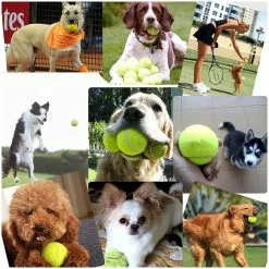 Les meilleures critiques de 😍 Wewoo Jouet pour Animaux de compagnie Toy Training Chien Lance Lanceur de tir à distance Speed Lance de Tennis, Taille: 52 * 19 * 9cm Fournitures 🔥 -Bon plan Animalerie 3615611145964 6