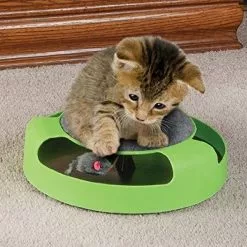 Meilleure vente 🥰 Wewoo Jouet pour Animaux Le plastique de chat d'approvisionnements d'animal familier attrapent les jouets interactifs de plate-forme de souris 🧨 -Bon plan Animalerie 3615611152726 1