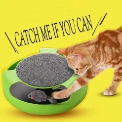 Meilleure vente 🥰 Wewoo Jouet pour Animaux Le plastique de chat d'approvisionnements d'animal familier attrapent les jouets interactifs de plate-forme de souris 🧨 -Bon plan Animalerie 3615611152726 7