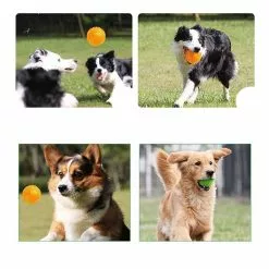 Meilleur prix ✨ Wewoo Jouet pour Animaux les grands animaux, grand, diamètre: 11cm, livraison aléatoire de couleur de d'animal familier Hedgehog Ball Oren Retriever molair 🌟 -Bon plan Animalerie 3615611231872 6