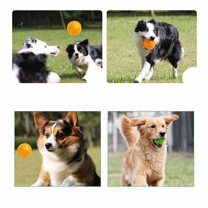 Vente flash 😀 Wewoo Jouet pour Animaux les grands animaux, petit, diamètre: 6,5 cm, livraison aléatoire de couleur de d'animal familier Hedgehog Ball Oren Retriever Mola 🎉 8 Vente flash 😀 Wewoo Jouet pour Animaux les grands animaux, petit, diamètre: 6,5 cm, livraison aléatoire de couleur de d'animal familier Hedgehog Ball Oren Retriever Mola 🎉 – Image 6