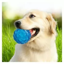 Bon marché 🌟 Wewoo Jouet pour Animaux de sondage d'animal familier balle élastique Oren Retriever Puppy Molar morsure résistant à la dent jouet, taille: 8 * 8 cm, livra ⭐