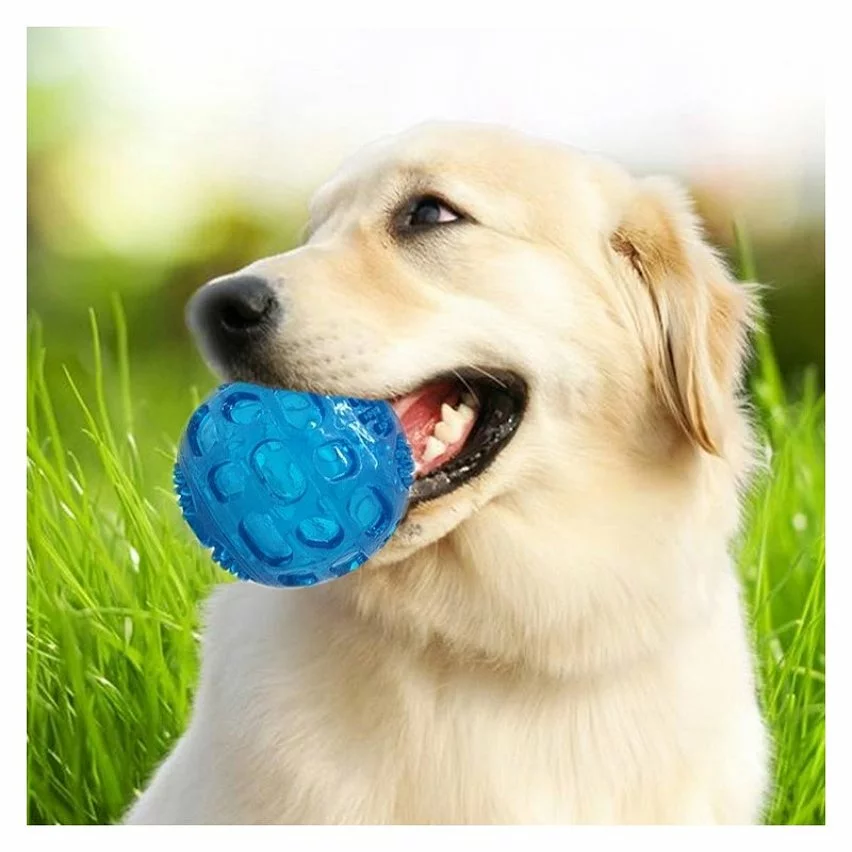 Bon marché 🌟 Wewoo Jouet pour Animaux de sondage d'animal familier balle élastique Oren Retriever Puppy Molar morsure résistant à la dent jouet, taille: 8 * 8 cm, livra ⭐ 3 Bon marché 🌟 Wewoo Jouet pour Animaux de sondage d'animal familier balle élastique Oren Retriever Puppy Molar morsure résistant à la dent jouet, taille: 8 * 8 cm, livra ⭐