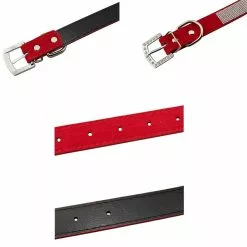 Meilleure vente ❤️ Wewoo Collier Chien & Chat noir pour animaux de compagnie produits Flocage diamant clouté bowknot de compagnie, taille: S, 1.5 * 37cm 🤩 8 Meilleure vente ❤️ Wewoo Collier Chien & Chat noir pour animaux de compagnie produits Flocage diamant clouté bowknot de compagnie, taille: S, 1.5 * 37cm 🤩 -Bon plan Animalerie 3615611645280 2