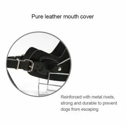 Grosses soldes 🛒 Wewoo Muselières chien Cage en acier style panier fil museau protection couverture avec bracelet en cuir, taille: XXL ✔️ 13 Grosses soldes 🛒 Wewoo Muselières chien Cage en acier style panier fil museau protection couverture avec bracelet en cuir, taille: XXL ✔️ -Bon plan Animalerie 3615611794162 5 2