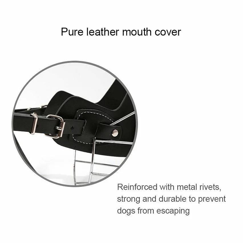 Tout neuf 🎉 Wewoo Muselières chien Cage en acier style panier fil museau protection muselière avec bracelet en cuir, taille: XL 🥰 7 Tout neuf 🎉 Wewoo Muselières chien Cage en acier style panier fil museau protection muselière avec bracelet en cuir, taille: XL 🥰 – Image 5