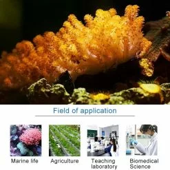 Meilleure vente ❤️ Jebao DP-2 4W Pompe de dosage automatique de péristaltisme 2 canaux de pour réservoir de récif de corail Distributeur de liquide d'alimentationPrise 🌟 -Bon plan Animalerie 3615612925459 6