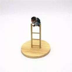 Grosses soldes ✔️ Wewoo Jouet pour Échelle de 👗 dressage debout d'échelle de formation de de de perroquet de hamsterspécification 4 😉 -Bon plan Animalerie 3615613566521 3