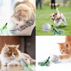 Bon marché 🎁 Wewoo Jouet pour drôle de chat de boule d'instantané de LED rechargeable par USB blanc 🔥 13 Bon marché 🎁 Wewoo Jouet pour drôle de chat de boule d'instantané de LED rechargeable par USB blanc 🔥 -Bon plan Animalerie 3615613568648 6