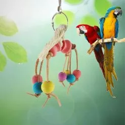 Bon marché 🎉 Jouet pour oiseau 🎁 -Bon plan Animalerie 3615613568792 2