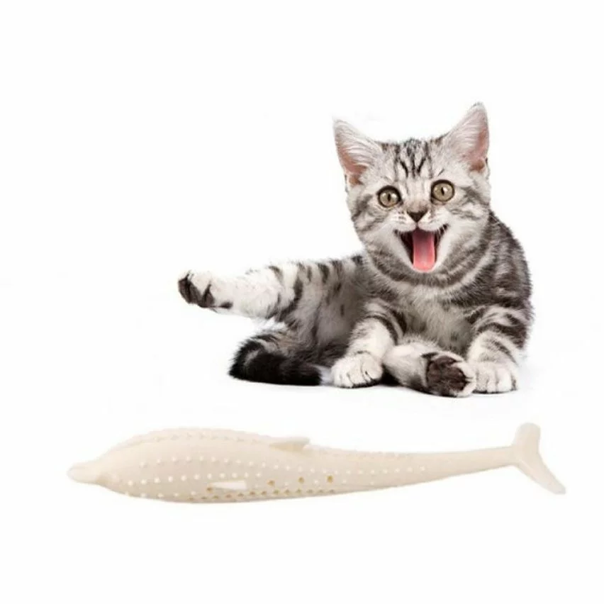 Offres 🎁 Wewoo Jouet pour dauphin en silicone à nettoyer les dents de chat blanc laiteux 😉 3 Offres 🎁 Wewoo Jouet pour dauphin en silicone à nettoyer les dents de chat blanc laiteux 😉