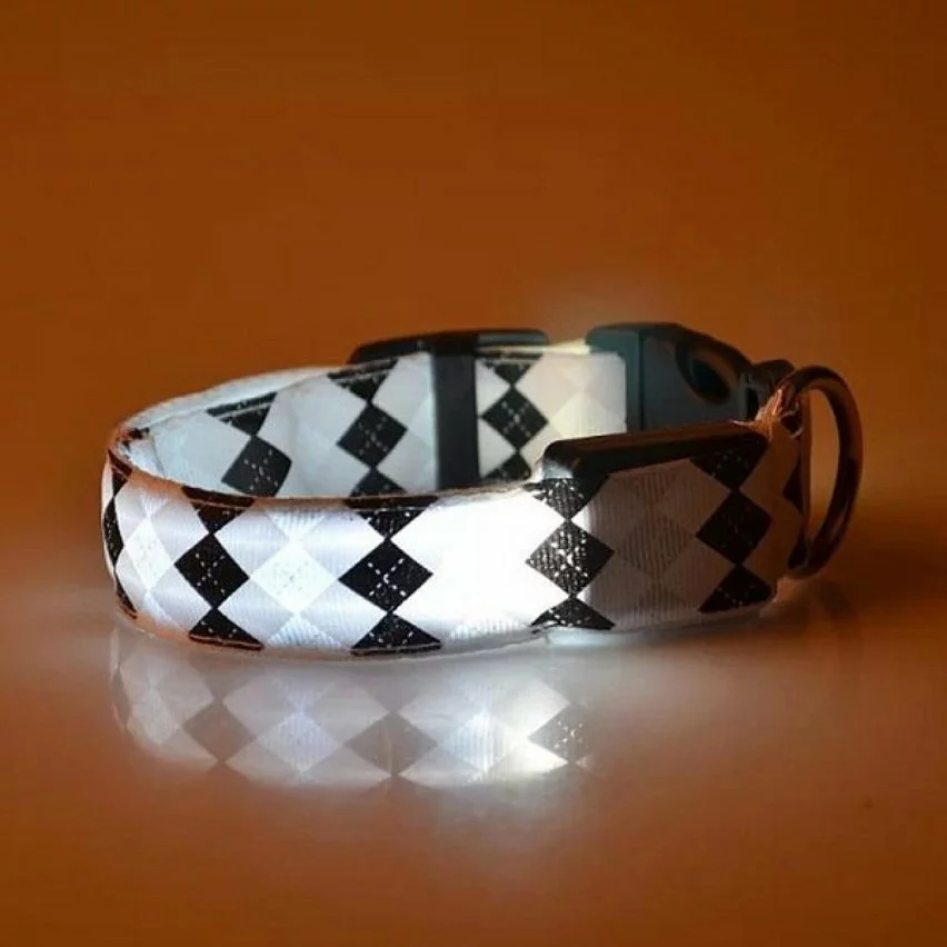 Sortie 🔔 Wewoo Motif à carreaux Rechargeable LED Glow Light Leads Collier pour chien petits chiens moyenstaille S blanc 👍 7 Sortie 🔔 Wewoo Motif à carreaux Rechargeable LED Glow Light Leads Collier pour chien petits chiens moyenstaille S blanc 👍 – Image 5