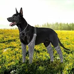 Les meilleures critiques de 🔔 Wewoo Pantalon d'extérieur à quatre pattes pour chien Couvre-jambe de bretelle imperméable et anti-saleté pour animaux de compagnie, taille: L (gris) 🌟 15 Les meilleures critiques de 🔔 Wewoo Pantalon d'extérieur à quatre pattes pour chien Couvre-jambe de bretelle imperméable et anti-saleté pour animaux de compagnie, taille: L (gris) 🌟 -Bon plan Animalerie 3615615127058 7 1