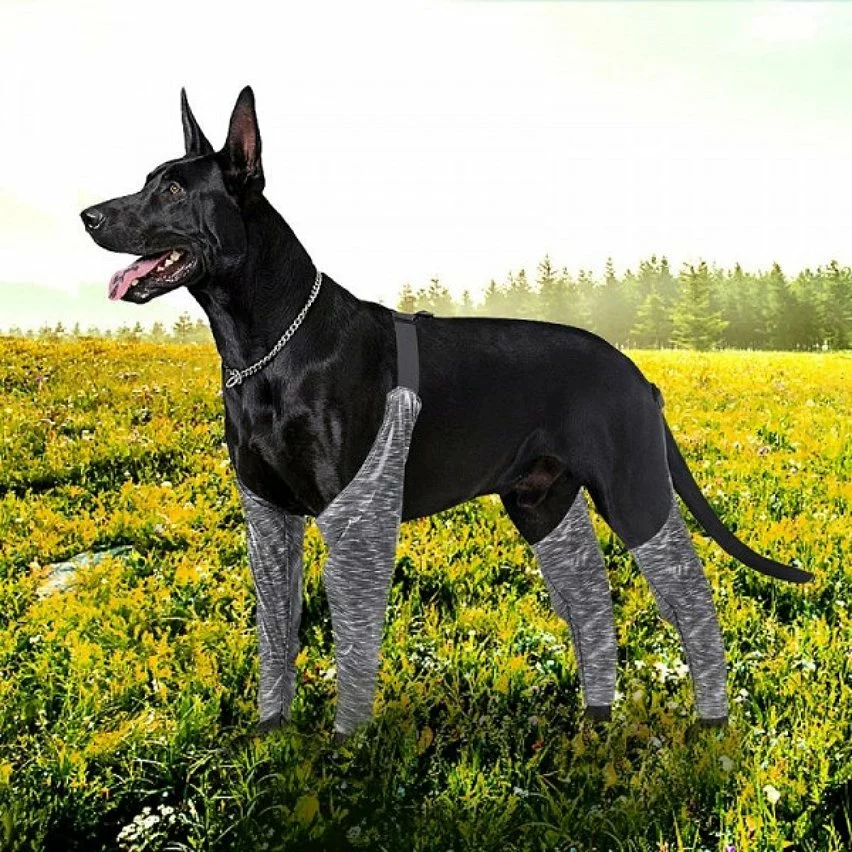 Les meilleures critiques de 🔔 Wewoo Pantalon d'extérieur à quatre pattes pour chien Couvre-jambe de bretelle imperméable et anti-saleté pour animaux de compagnie, taille: L (gris) 🌟 9 Les meilleures critiques de 🔔 Wewoo Pantalon d'extérieur à quatre pattes pour chien Couvre-jambe de bretelle imperméable et anti-saleté pour animaux de compagnie, taille: L (gris) 🌟 – Image 7