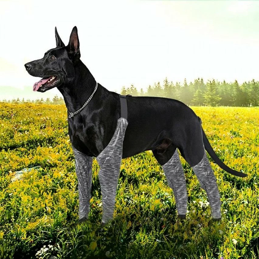 Bon marché ❤️ Wewoo Pantalon d'extérieur à quatre pattes pour chien Couvre-jambe de bretelle imperméable et anti-saleté pour animaux de compagnie, taille: XXL (gris) 👍 9 Bon marché ❤️ Wewoo Pantalon d'extérieur à quatre pattes pour chien Couvre-jambe de bretelle imperméable et anti-saleté pour animaux de compagnie, taille: XXL (gris) 👍 – Image 7