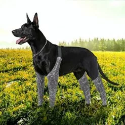 Coupon ⭐ Wewoo Pantalon d'extérieur à quatre pattes pour chien Couvre-jambe de bretelle imperméable et anti-saleté pour animaux de compagnie, taille: S (gris) 💯 -Bon plan Animalerie 3615615127072 7 2