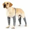 Les meilleures critiques de 🔔 Wewoo Pantalon d'extérieur à quatre pattes pour chien Couvre-jambe de bretelle imperméable et anti-saleté pour animaux de compagnie, taille: L (gris) 🌟 -Bon plan Animalerie 3615615127089 1 2