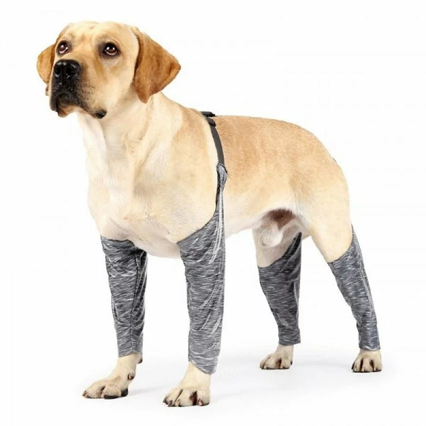Le moins cher ❤️ Wewoo Pantalon d'extérieur à quatre pattes pour chien Couvre-jambe de bretelle imperméable et anti-saleté pour animaux de compagnie, taille: XXXL (gris) 🧨 3 Le moins cher ❤️ Wewoo Pantalon d'extérieur à quatre pattes pour chien Couvre-jambe de bretelle imperméable et anti-saleté pour animaux de compagnie, taille: XXXL (gris) 🧨