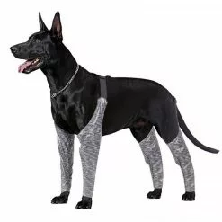 Les meilleures critiques de 🔔 Wewoo Pantalon d'extérieur à quatre pattes pour chien Couvre-jambe de bretelle imperméable et anti-saleté pour animaux de compagnie, taille: L (gris) 🌟 10 Les meilleures critiques de 🔔 Wewoo Pantalon d'extérieur à quatre pattes pour chien Couvre-jambe de bretelle imperméable et anti-saleté pour animaux de compagnie, taille: L (gris) 🌟 -Bon plan Animalerie 3615615127089 2 2