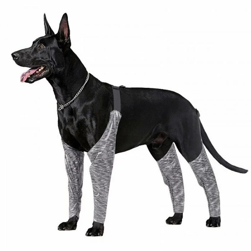 Les meilleures critiques de 🔔 Wewoo Pantalon d'extérieur à quatre pattes pour chien Couvre-jambe de bretelle imperméable et anti-saleté pour animaux de compagnie, taille: L (gris) 🌟 4 Les meilleures critiques de 🔔 Wewoo Pantalon d'extérieur à quatre pattes pour chien Couvre-jambe de bretelle imperméable et anti-saleté pour animaux de compagnie, taille: L (gris) 🌟 – Image 2
