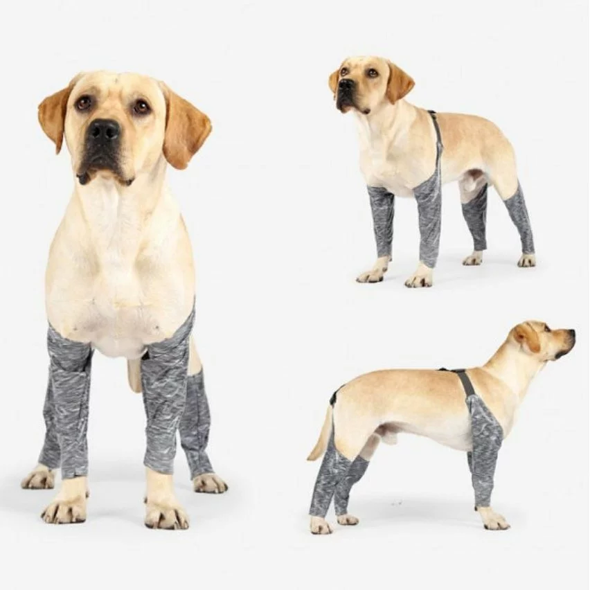 Le moins cher ❤️ Wewoo Pantalon d'extérieur à quatre pattes pour chien Couvre-jambe de bretelle imperméable et anti-saleté pour animaux de compagnie, taille: XXXL (gris) 🧨 8 Le moins cher ❤️ Wewoo Pantalon d'extérieur à quatre pattes pour chien Couvre-jambe de bretelle imperméable et anti-saleté pour animaux de compagnie, taille: XXXL (gris) 🧨 – Image 6