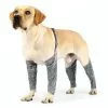 Acheter 👏 Wewoo Pantalon d'extérieur à quatre pattes pour chien Couvre-jambe de bretelle imperméable et anti-saleté pour animaux de compagnie, taille: XL (gris) 💯 -Bon plan Animalerie 3615615127102 1 1