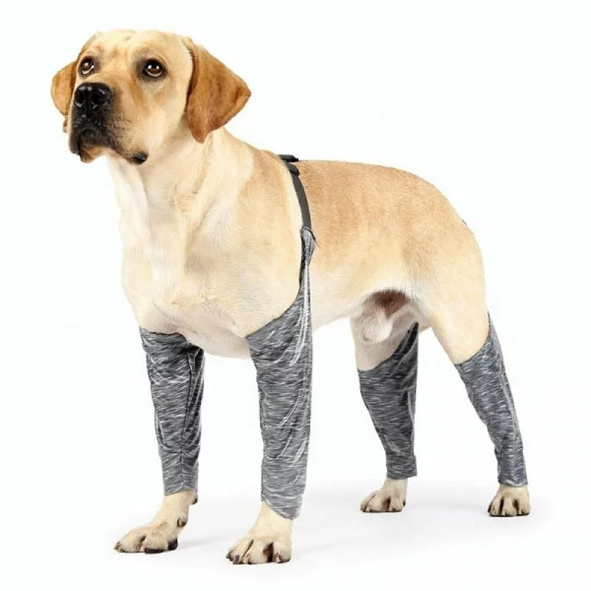 Bon marché ❤️ Wewoo Pantalon d'extérieur à quatre pattes pour chien Couvre-jambe de bretelle imperméable et anti-saleté pour animaux de compagnie, taille: XXL (gris) 👍 3 Bon marché ❤️ Wewoo Pantalon d'extérieur à quatre pattes pour chien Couvre-jambe de bretelle imperméable et anti-saleté pour animaux de compagnie, taille: XXL (gris) 👍