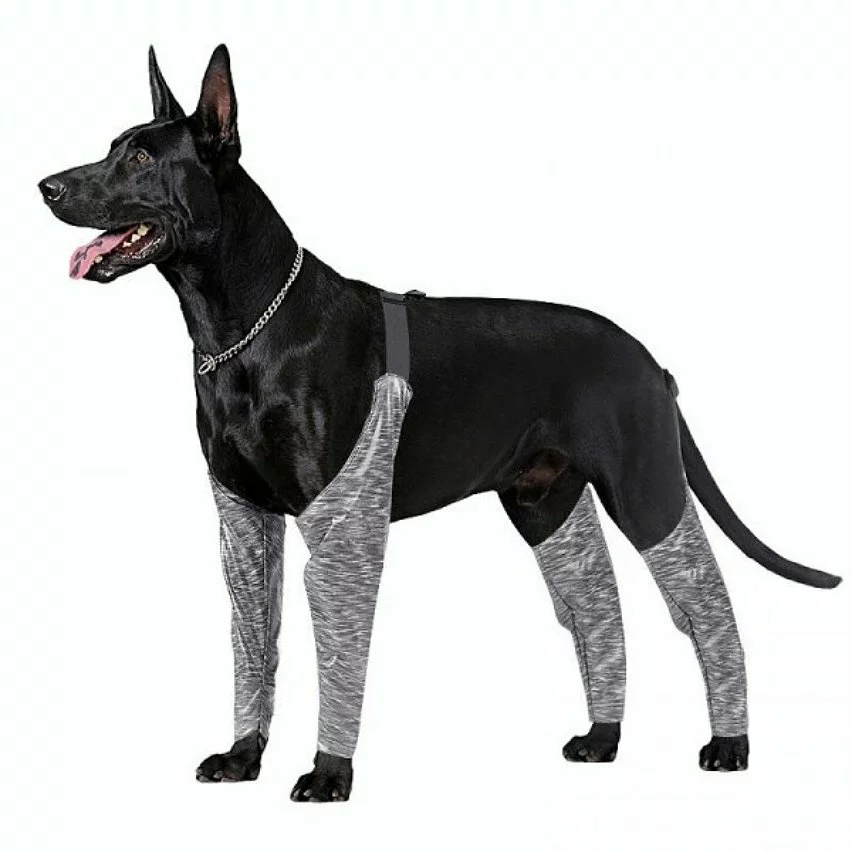 Bon marché ❤️ Wewoo Pantalon d'extérieur à quatre pattes pour chien Couvre-jambe de bretelle imperméable et anti-saleté pour animaux de compagnie, taille: XXL (gris) 👍 4 Bon marché ❤️ Wewoo Pantalon d'extérieur à quatre pattes pour chien Couvre-jambe de bretelle imperméable et anti-saleté pour animaux de compagnie, taille: XXL (gris) 👍 – Image 2