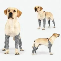Acheter 👏 Wewoo Pantalon d'extérieur à quatre pattes pour chien Couvre-jambe de bretelle imperméable et anti-saleté pour animaux de compagnie, taille: XL (gris) 💯 -Bon plan Animalerie 3615615127119 6