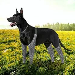 Acheter 👏 Wewoo Pantalon d'extérieur à quatre pattes pour chien Couvre-jambe de bretelle imperméable et anti-saleté pour animaux de compagnie, taille: XL (gris) 💯 -Bon plan Animalerie 3615615127119 7