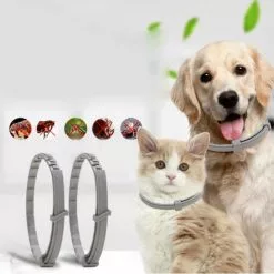 Les meilleures critiques de ⌛ Wewoo 5 PCS Pet Puces et Anti-Poux Collier Pet In Vitro Insectifuge Anneau, Taille: Petit Chien / 38cm 🔥 -Bon plan Animalerie 3615615257526 5 1