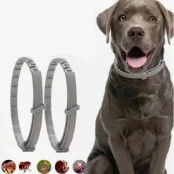 Les meilleures critiques de ⌛ Wewoo 5 PCS Pet Puces et Anti-Poux Collier Pet In Vitro Insectifuge Anneau, Taille: Petit Chien / 38cm 🔥 -Bon plan Animalerie 3615615257526 6 1