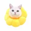 Sortie 😉 Wewoo 2 PCS Pet Supplies Cat Headgear Cat Toy Anneau anti-morsure, L (jaune d'or) 👍 -Bon plan Animalerie 3615615257540 1