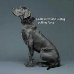 Les meilleures critiques de 😉 Wewoo Collier de traction pour chien de grande et moyenne taille en nylon épaissi, taille: XL (bouton kaki + noir) 💯 -Bon plan Animalerie 3615615257700 3