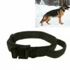 Budget 🎁 Wewoo Collier de traction pour chien de grande et moyenne taille en nylon épaissi, taille: L (vert armée) 😀 -Bon plan Animalerie 3615615257724 1 1