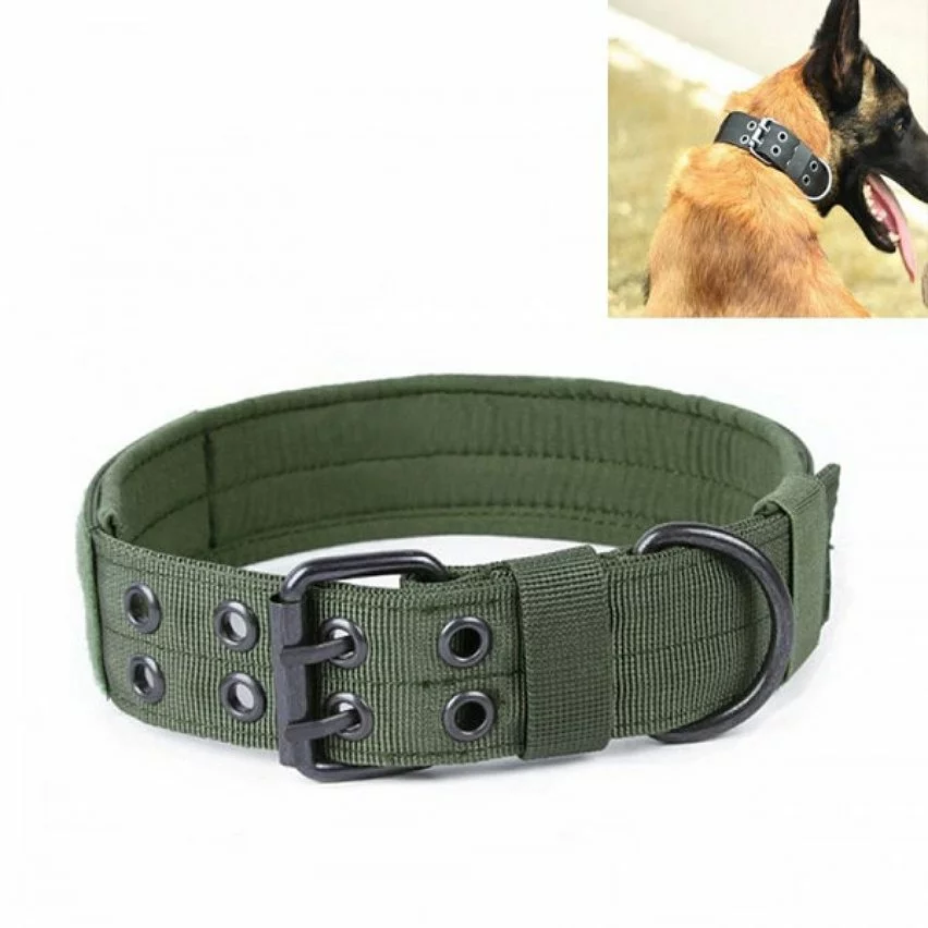 Les meilleures critiques de 🛒 Wewoo Laisse réglable multifonctionnelle pour chien, entraînement en plein air pour animaux de compagnie, collier résistant à l'usure, taille: XL (vert) 🥰 3 Les meilleures critiques de 🛒 Wewoo Laisse réglable multifonctionnelle pour chien, entraînement en plein air pour animaux de compagnie, collier résistant à l'usure, taille: XL (vert) 🥰