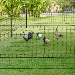 Offres 😍 IDMARKET Kit clôture filet à poules 50 M avec porte 15 piquets double pointes 🔔 -Bon plan Animalerie 3662897021185 2 1