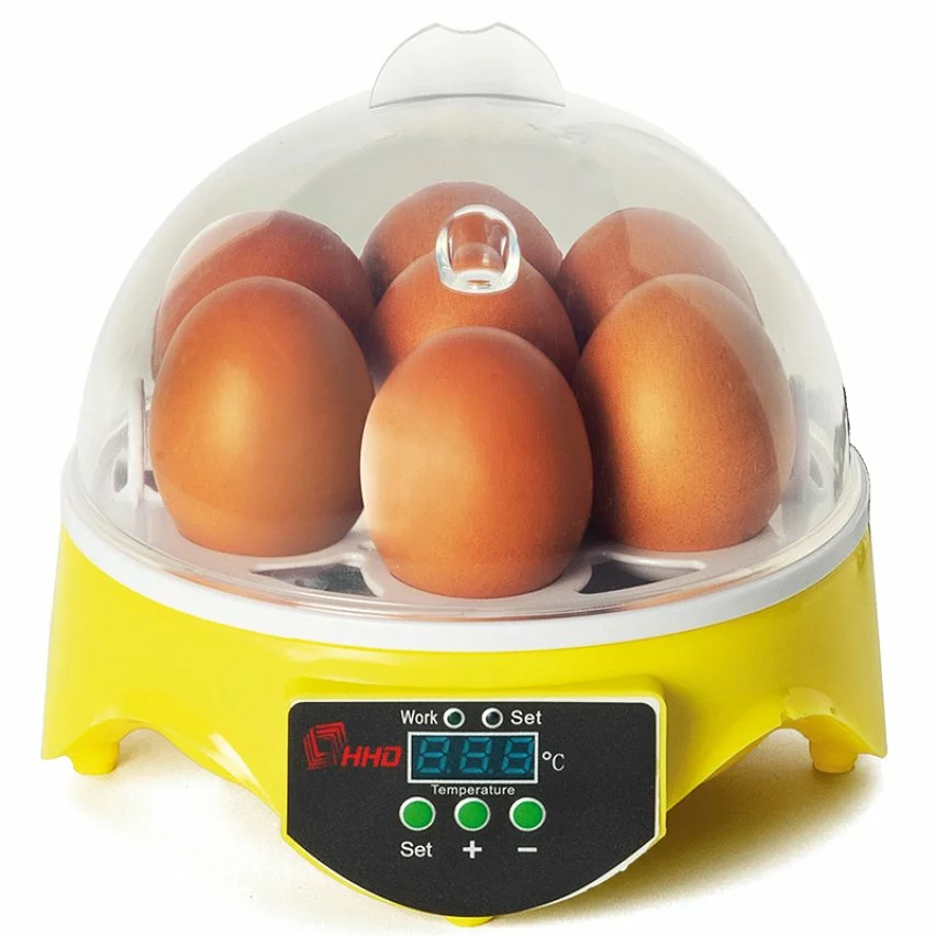 Top 10 ⭐ IDMARKET Couveuse manuelle 7 oeufs incubateur température réglable 👏 3 Top 10 ⭐ IDMARKET Couveuse manuelle 7 oeufs incubateur température réglable 👏